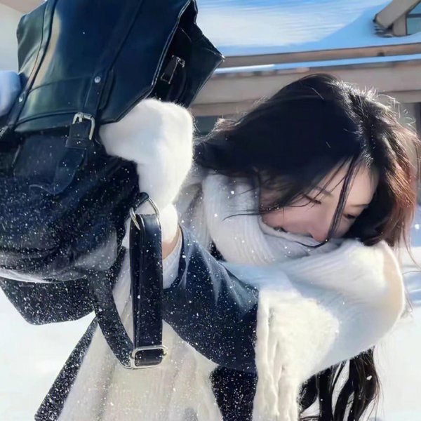 决战雪山之巅峰海报