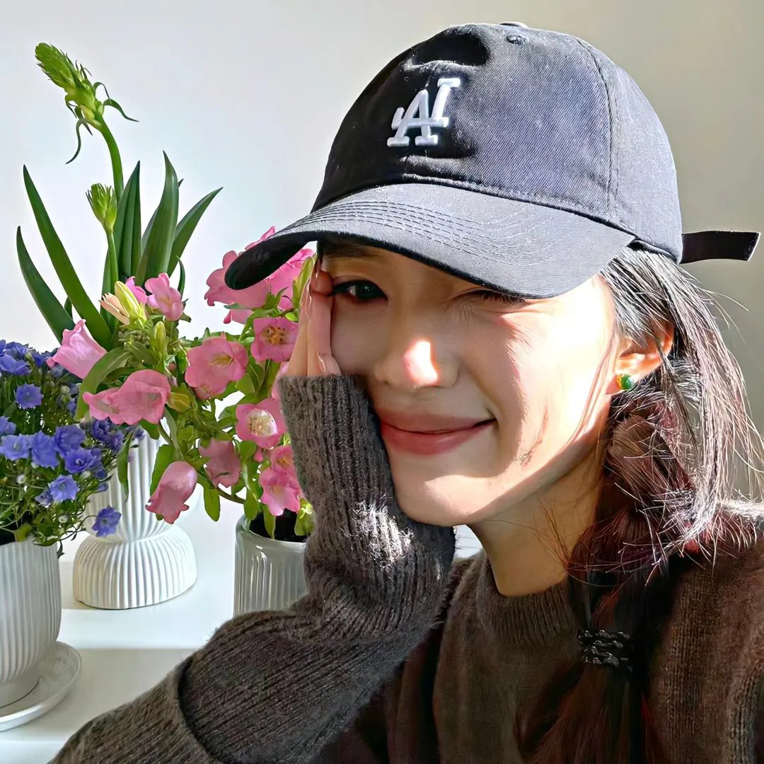 大厨小婿海报