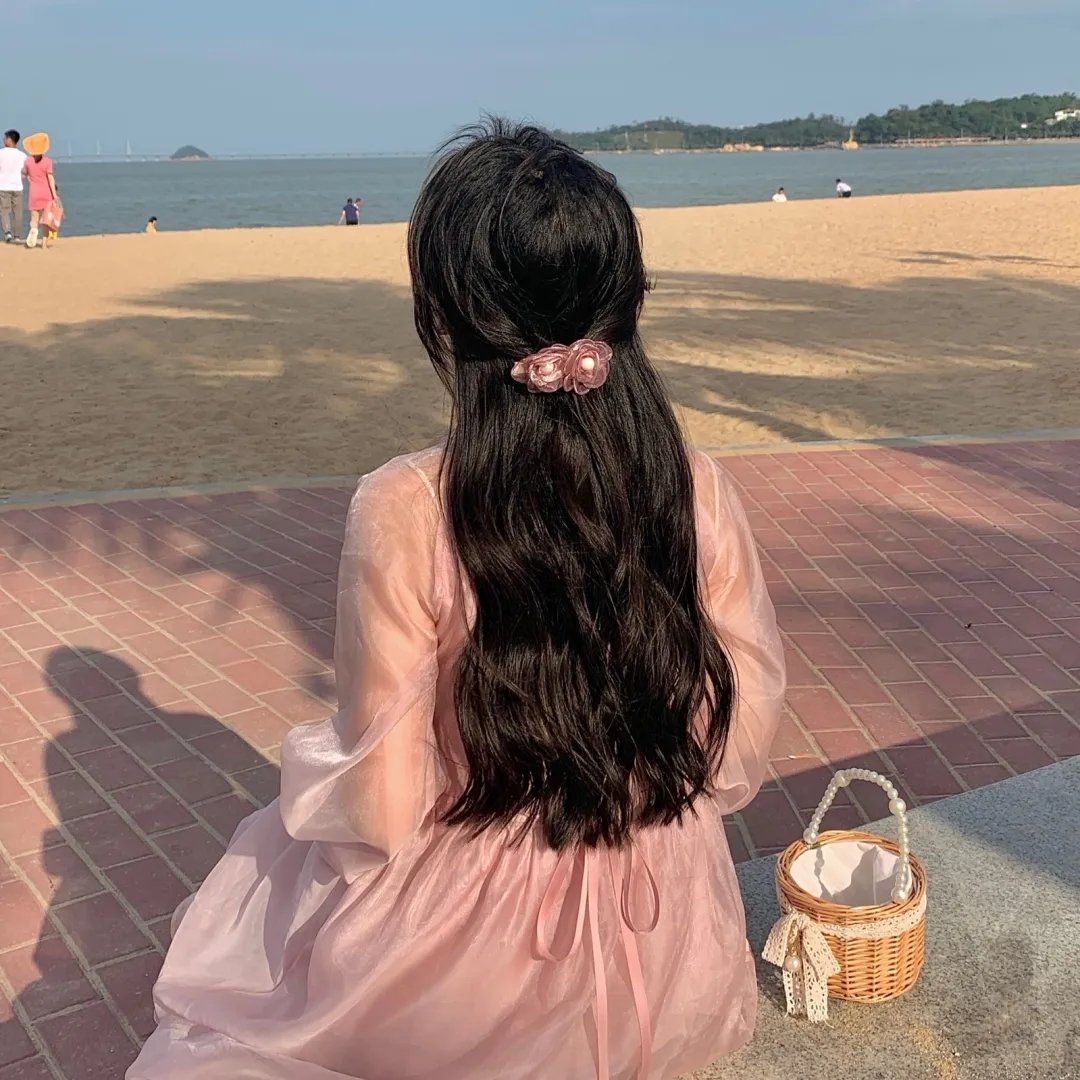 双狼海报